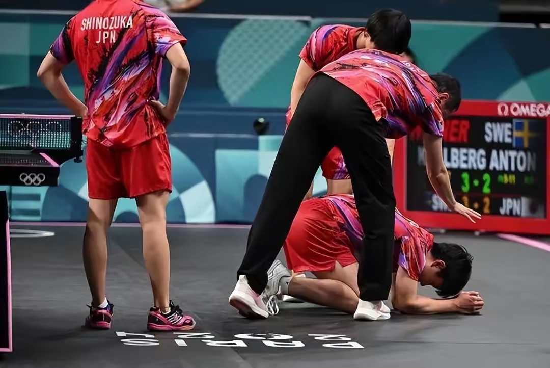 德国队横扫法国队，张本智和高光表现